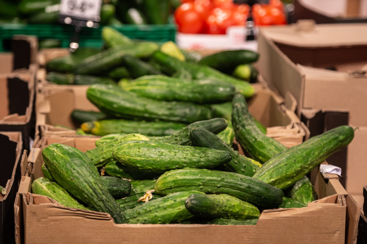    Фото: freepik. com