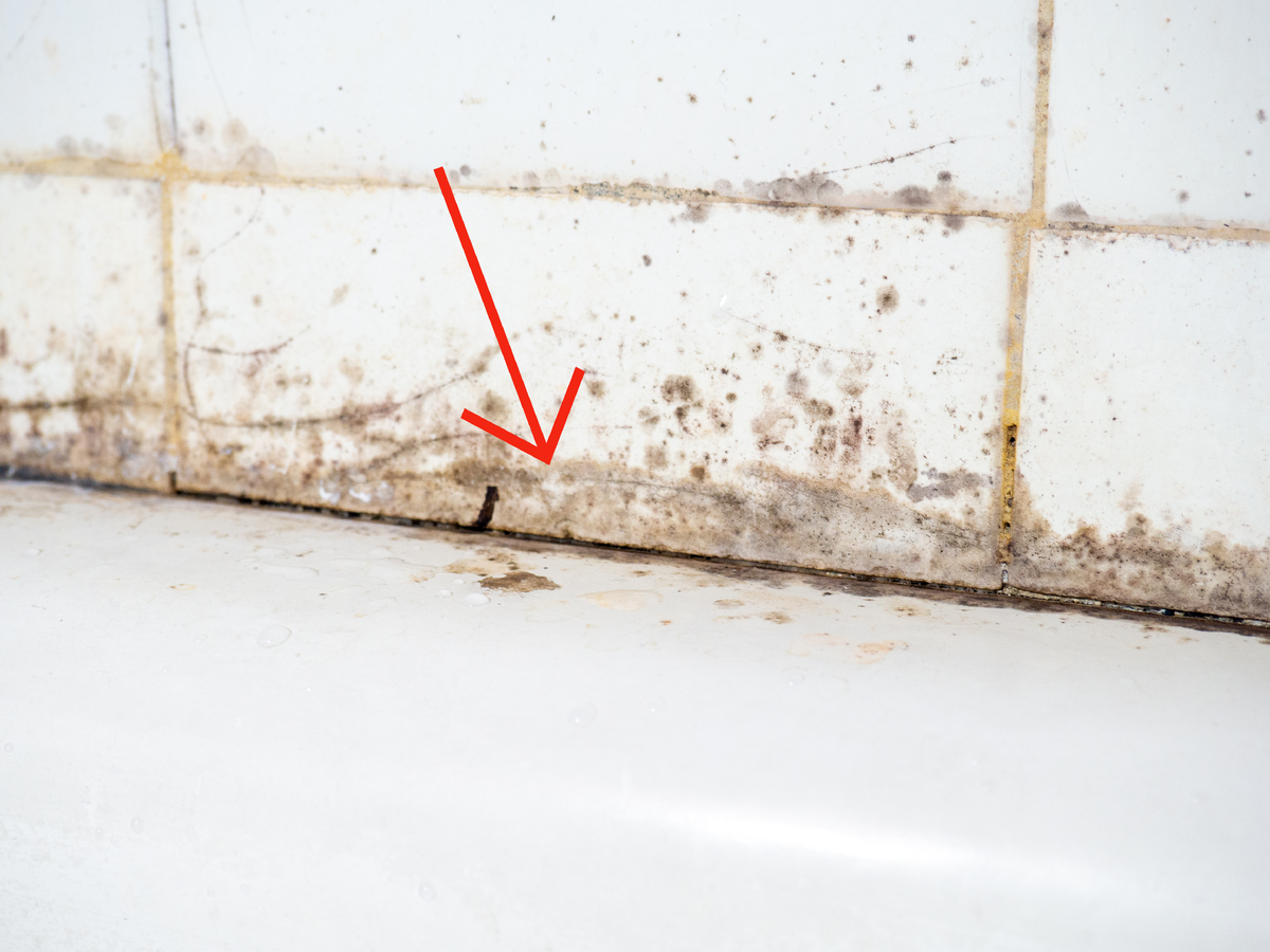 Designed by Freepik. Источник: www.freepik.com