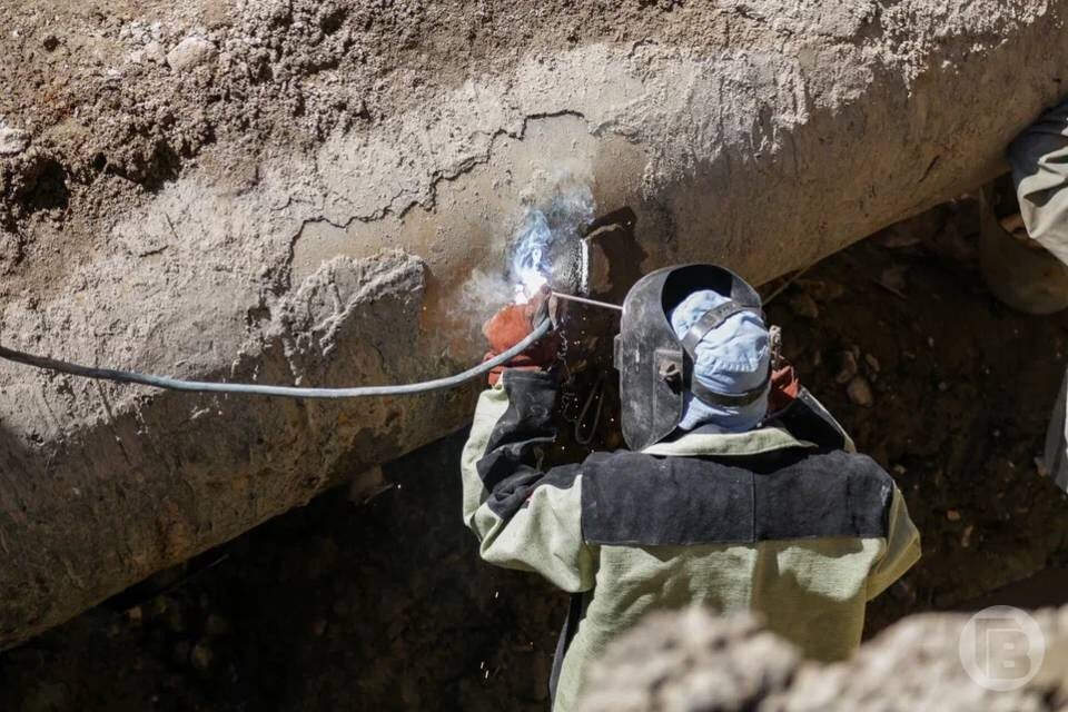    Фото: Данил Савченко / "Городские вести"