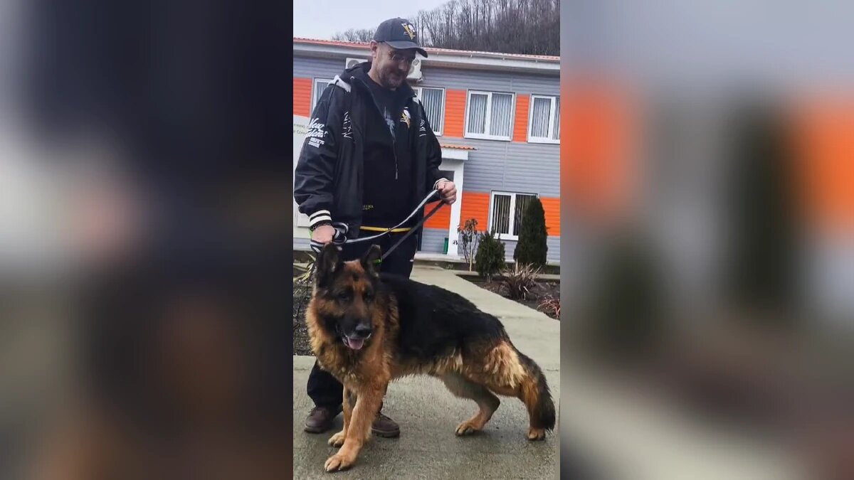    Фото t.me/mcusochi