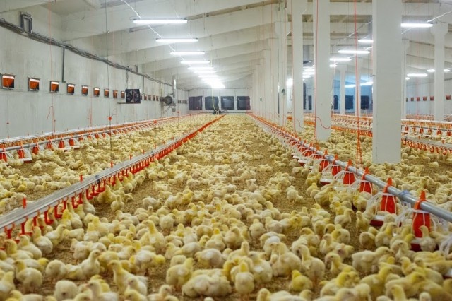   Фото из архива Калининград.Ru