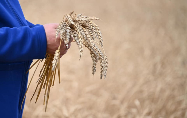 Фото: Людмила Ковалева, из архива редакции