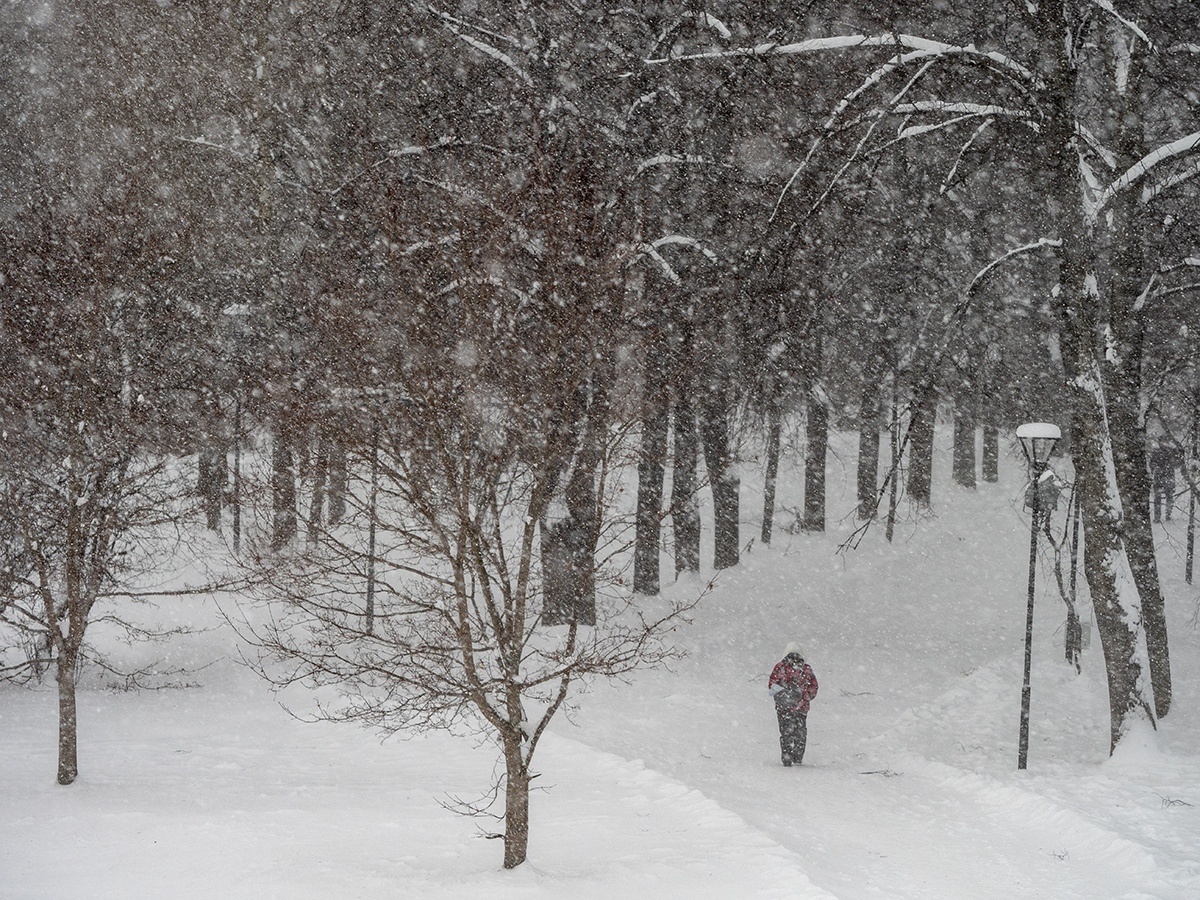    фото: © Игорь Подгорный