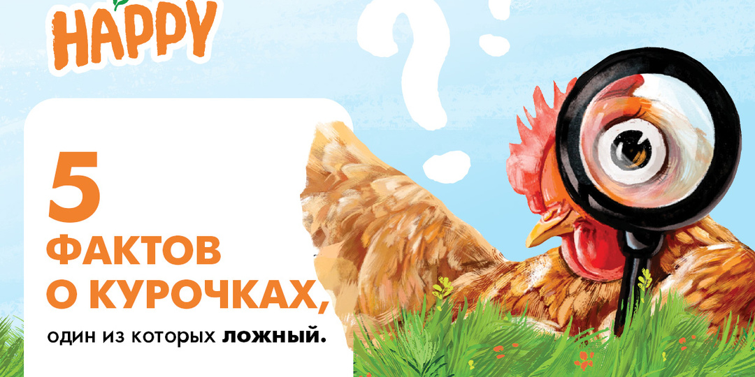 🔎 5 фактов о курочках, один из которых ложный. Пишите в комментариях, какой именно