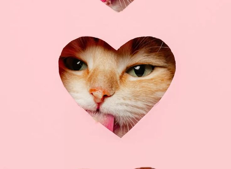 Одинокая никому не нужна, а появился кавалер - так сразу все активизировались