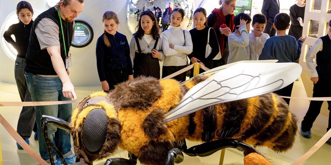 Липовый, гречишный и с малиной: на ВДНХ открылся «Медовый домик»