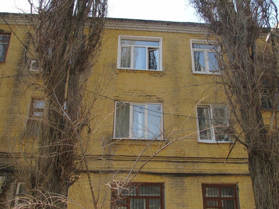    Фото Елены Федяшевой из архива «КП»