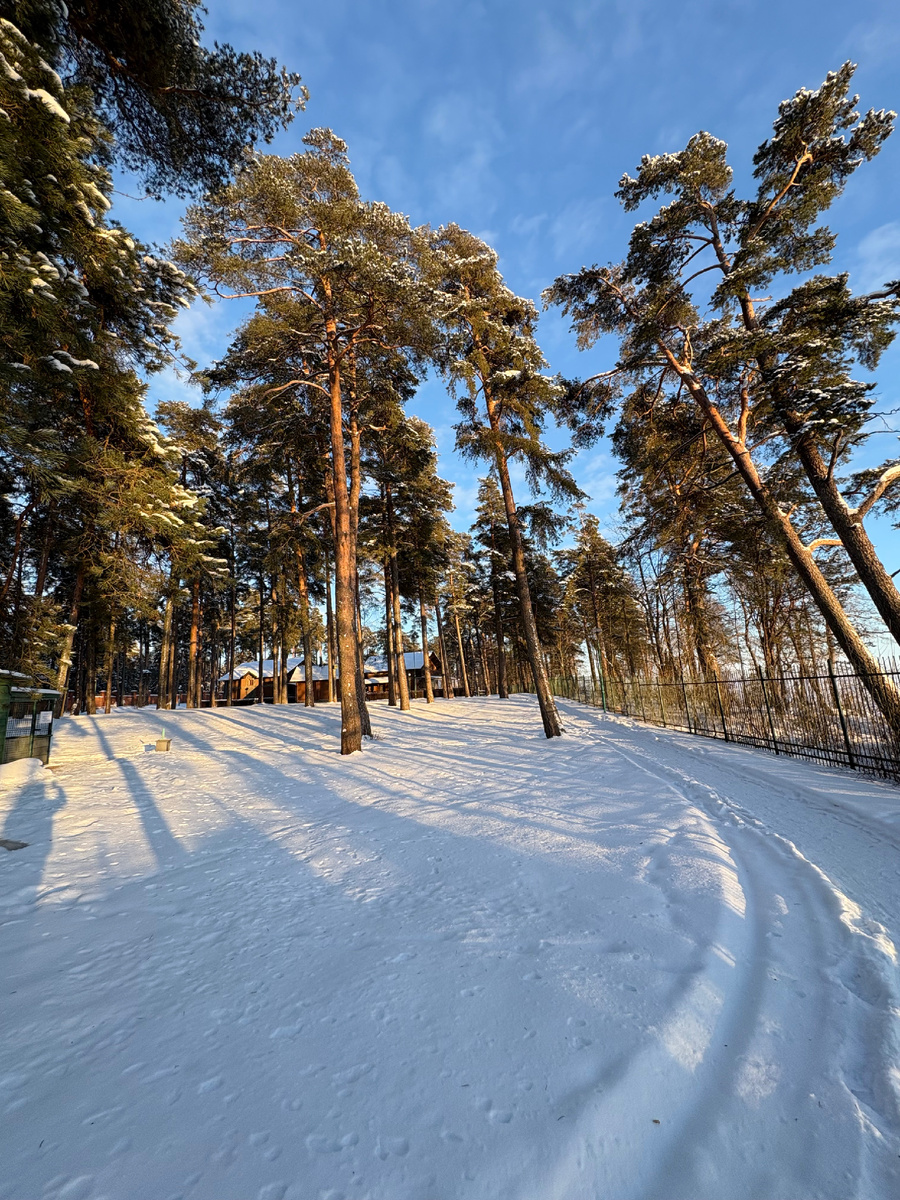 Фото автора.