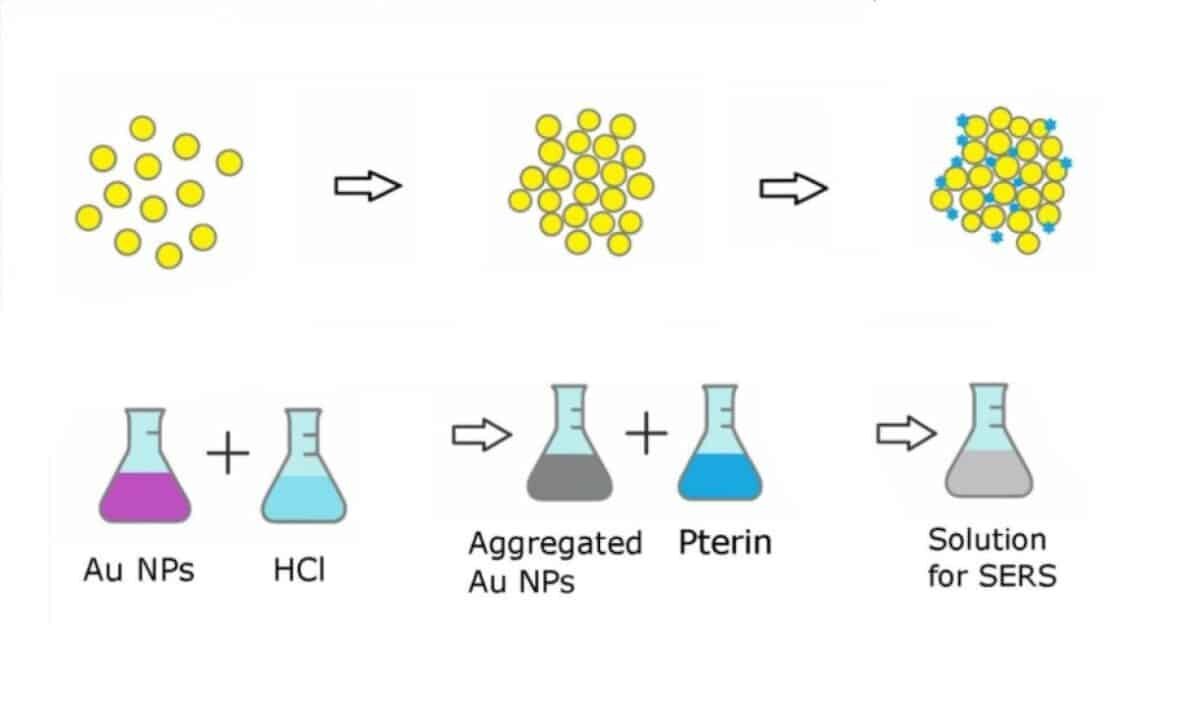    Схема работы способа обнаружения неоптерина / © Spectrochimica Acta Part A: Molecular and Biomolecular Spectroscopу