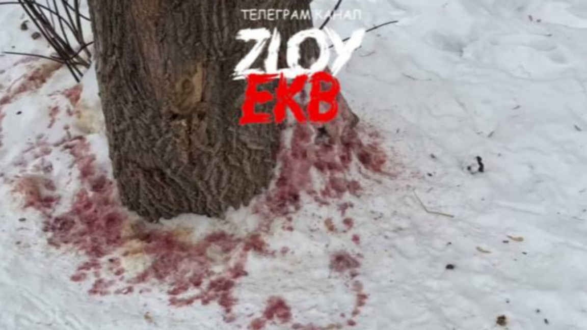    Злой ЕКБ/Телеграм-канал