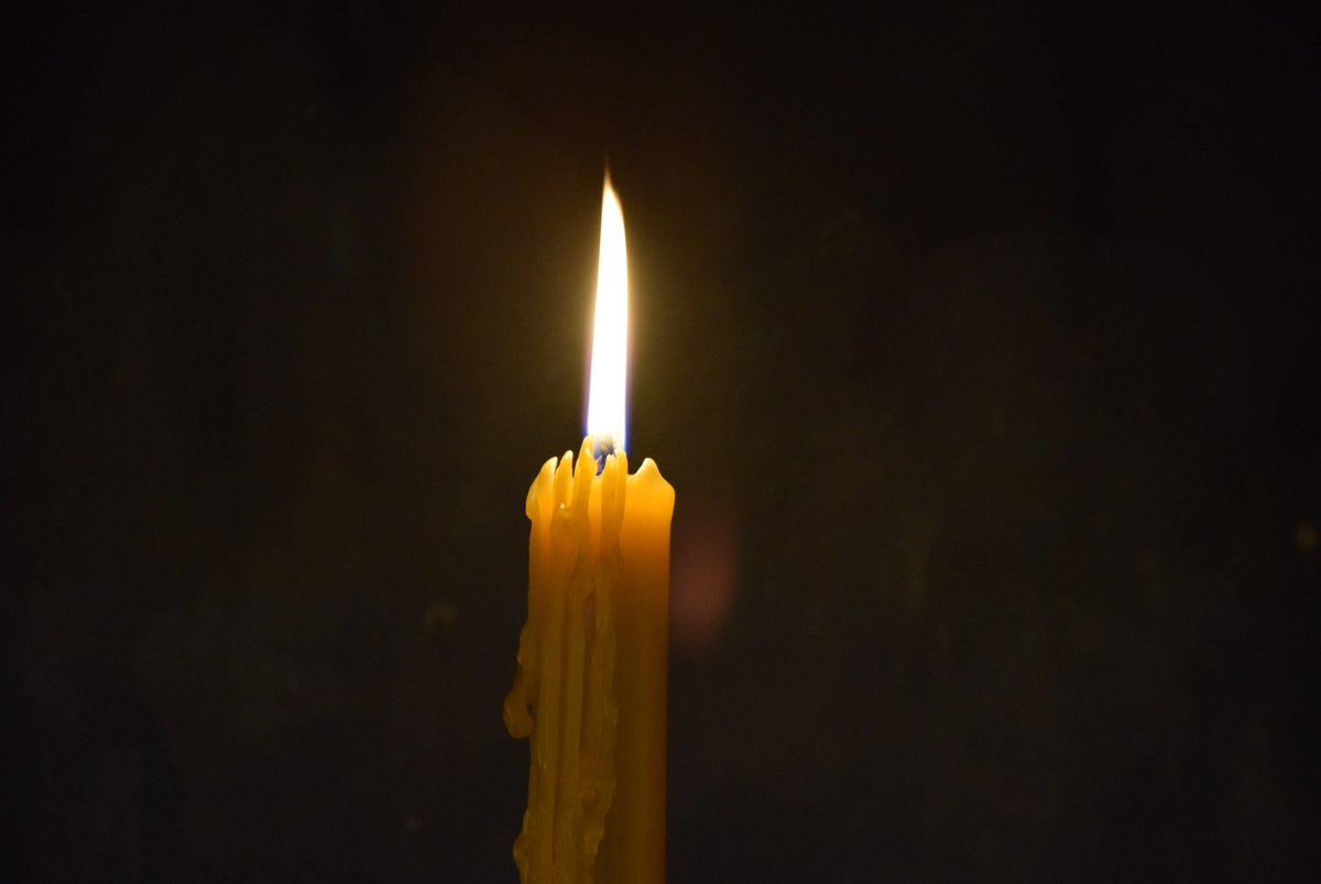    фото: © Мария Голубева