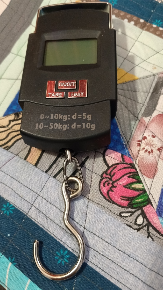 фото автора:электронный безмен