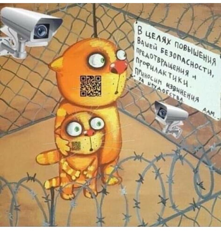 Из свободных источников 