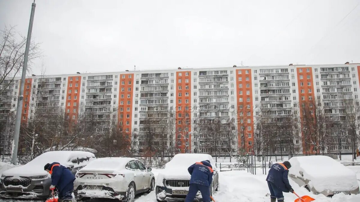     © АГН «Москва»