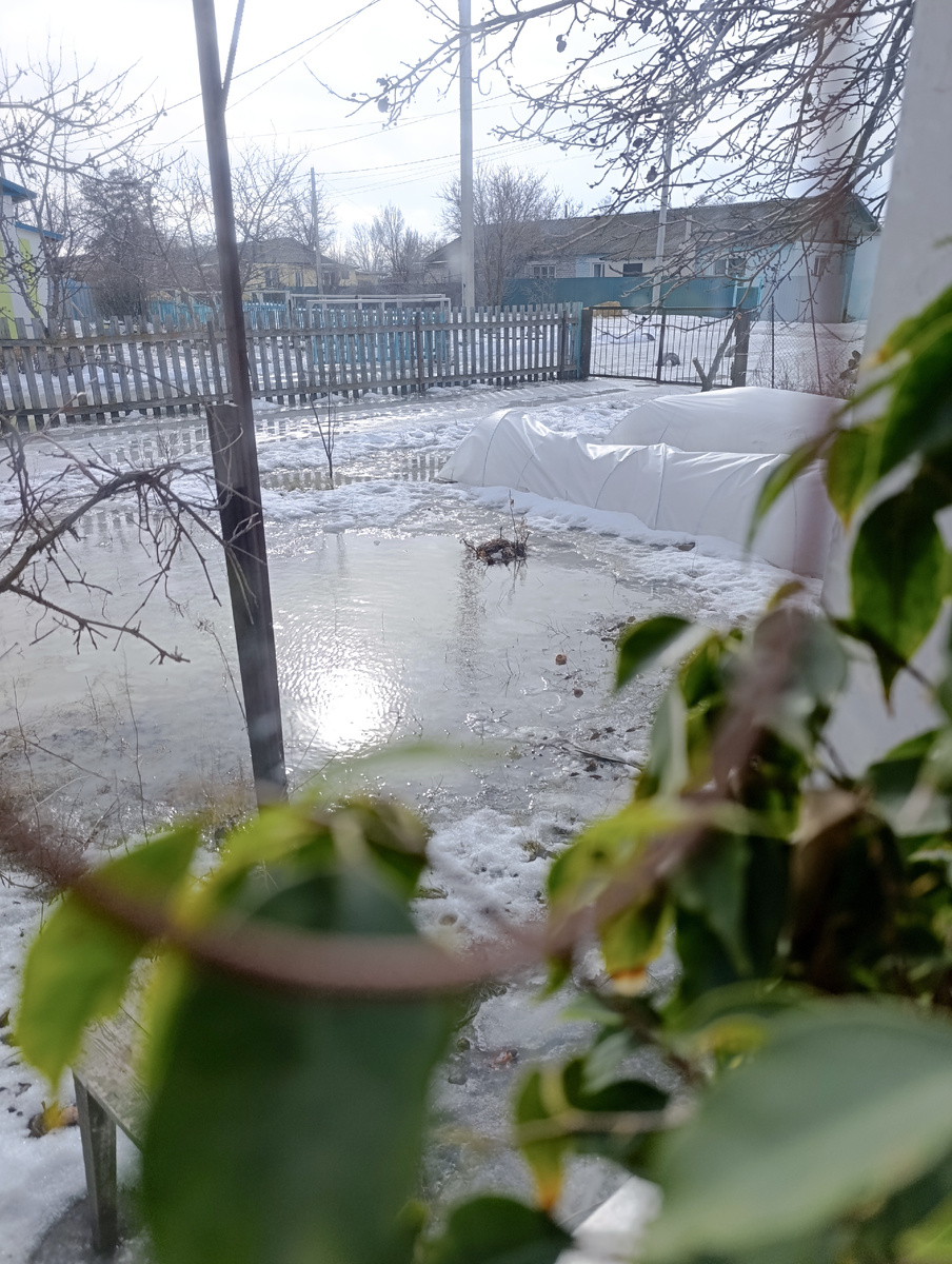Несколько дней назад стояла вода. Фото автора