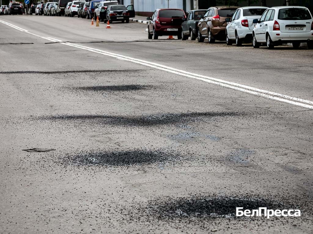     Фото: Павел Колядин (архив)