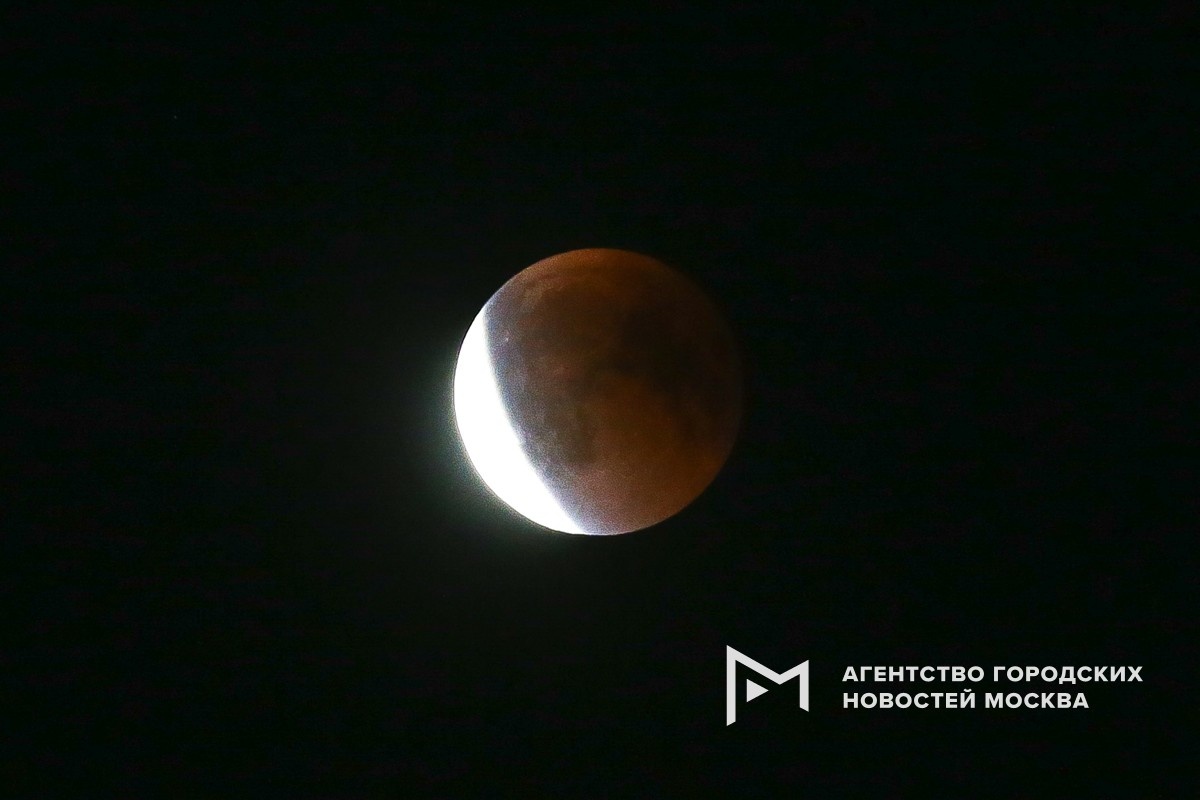 Фотограф: Сергей Ведяшкин