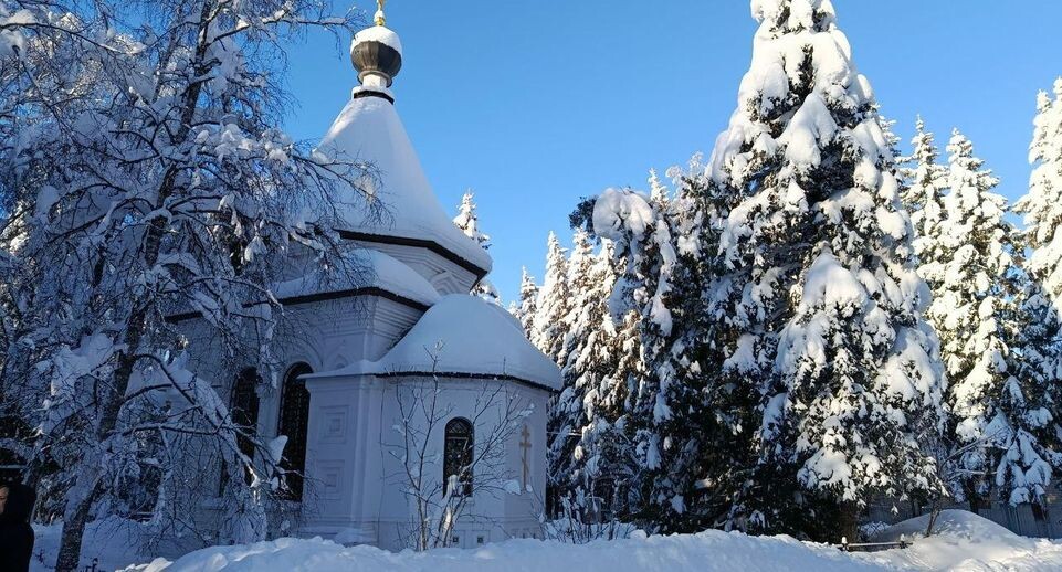    МедиаБанк Подмосковья/Анастасия Новак