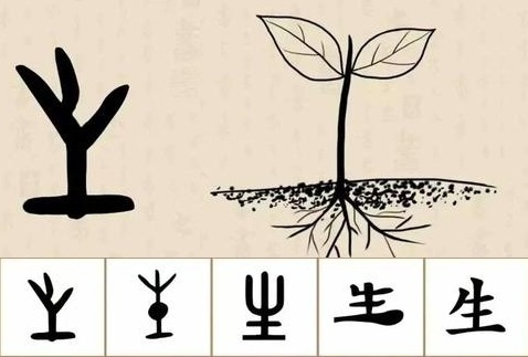 生 (shēng) — рождаться, жизнь, расти