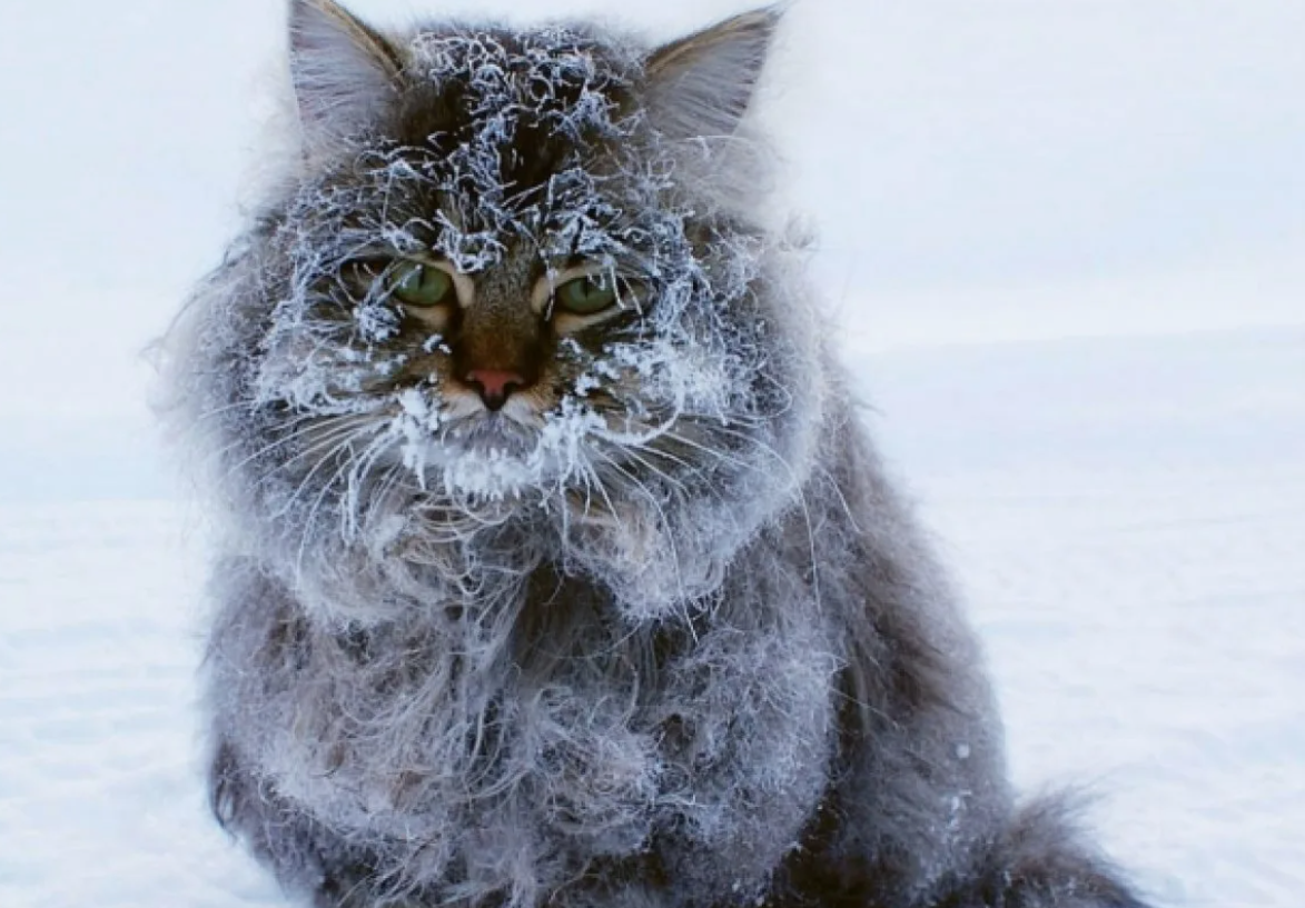 Источник: subscribe.ru