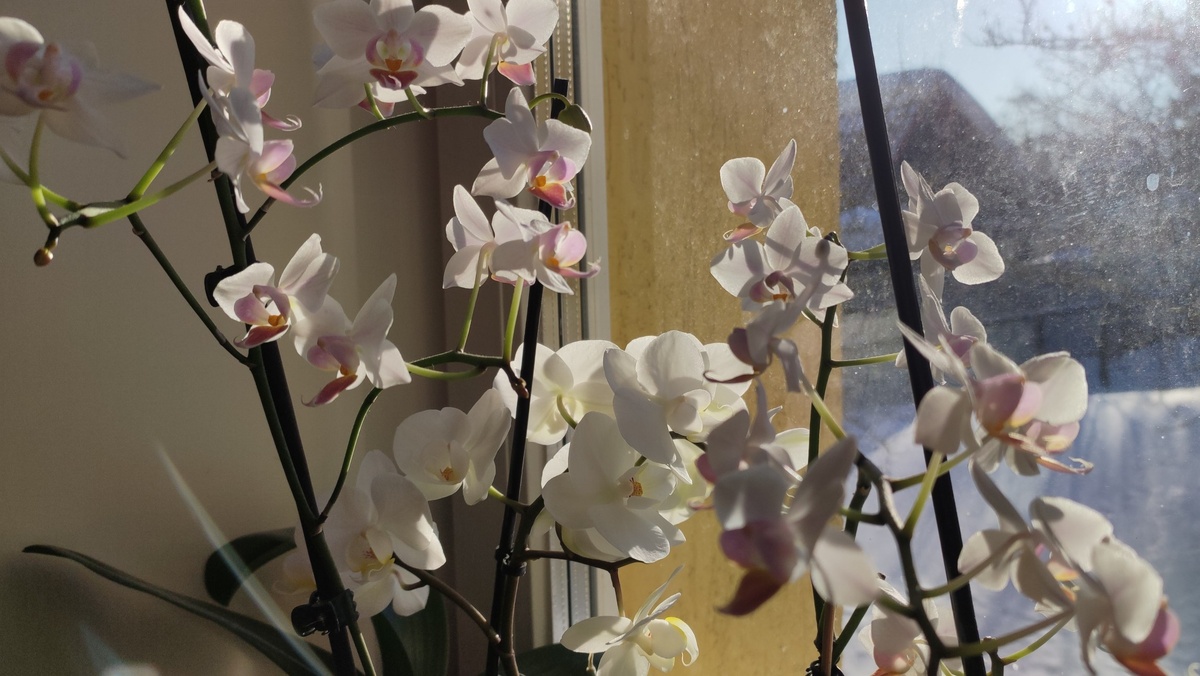 Стараюсь передать солнечное утро 😄