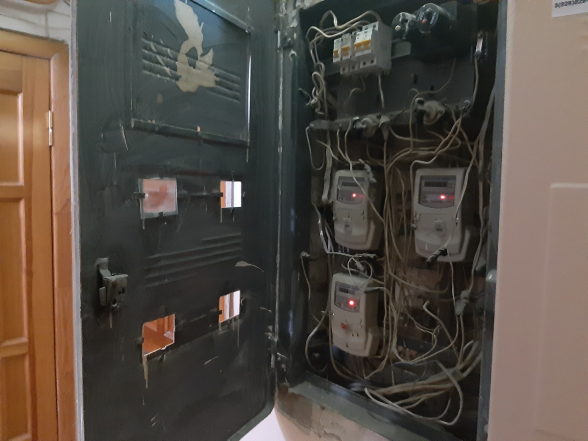 Фото автора.