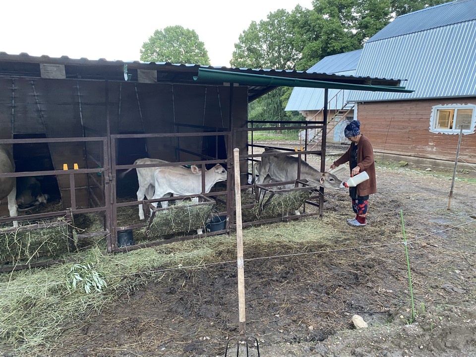    Донской минсельхоз ввел субсидии для фермеров и владельцев ЛПХ. Елена КРИВЯКИНА