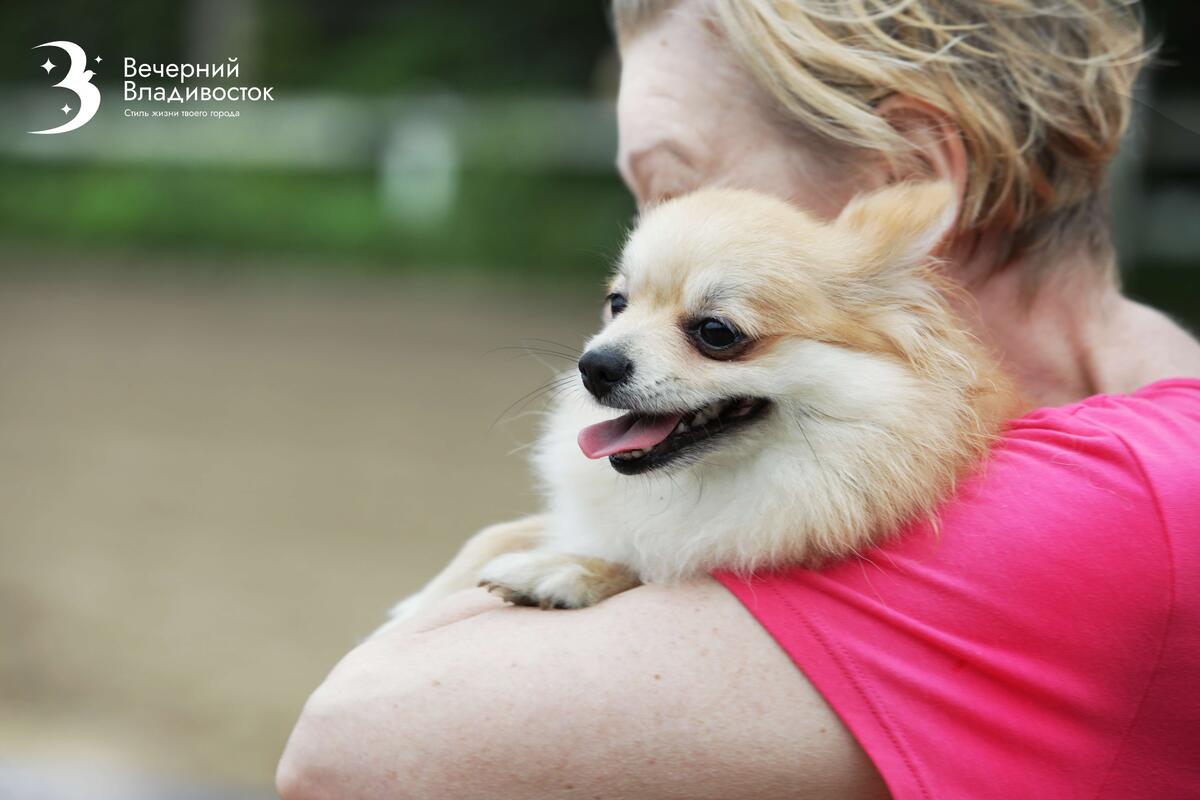 Объятия, которые мы считаем любовью, собаки воспринимают как захват и угрозу