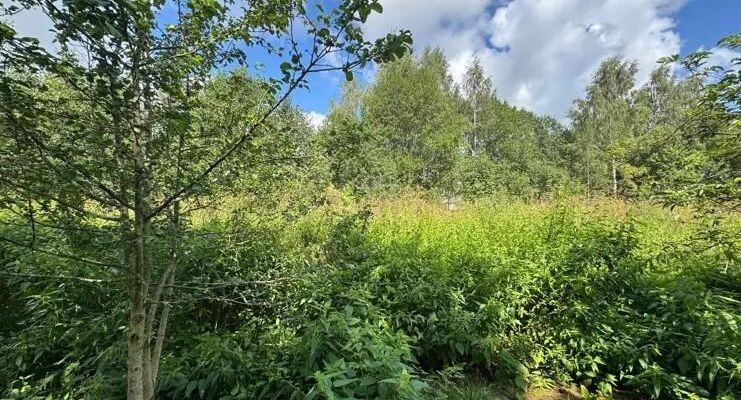    В Волоколамском м. о. на торгах продается земельный участок для ИЖС / Комитет по конкурентной политике МО