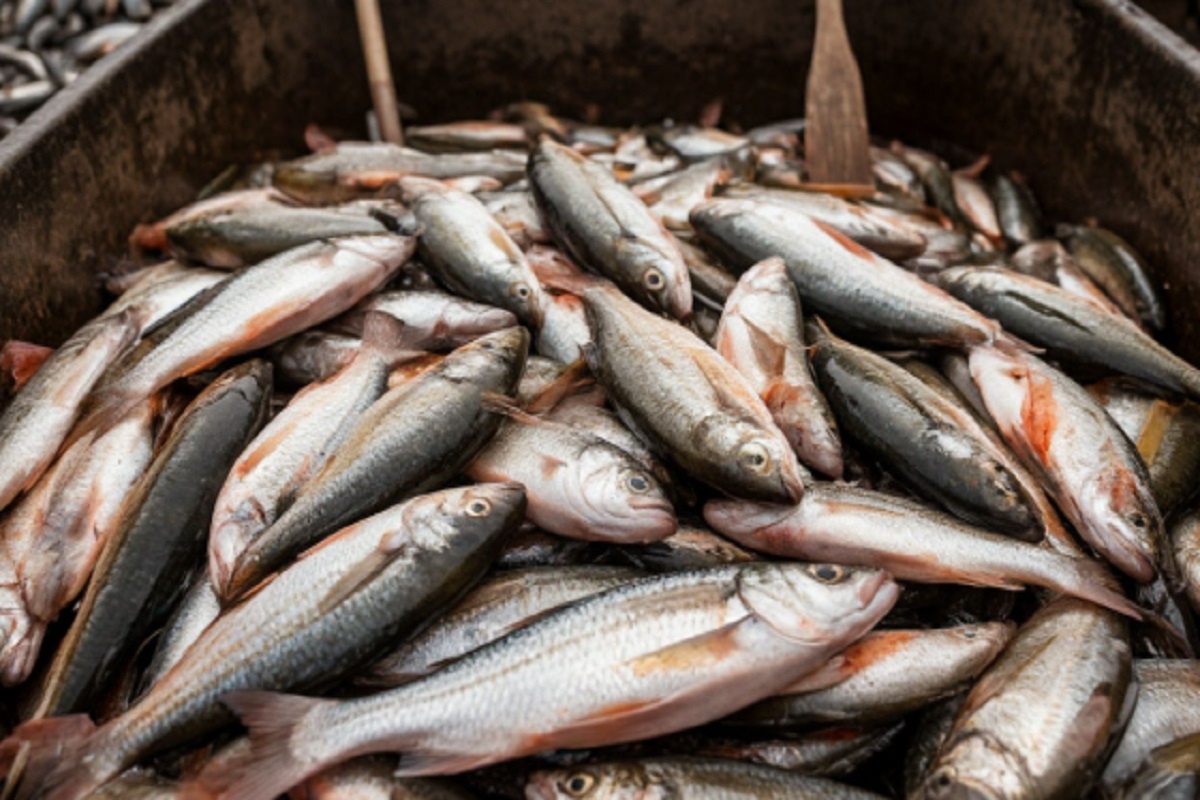    Фото: коллаж RuNews24.ru