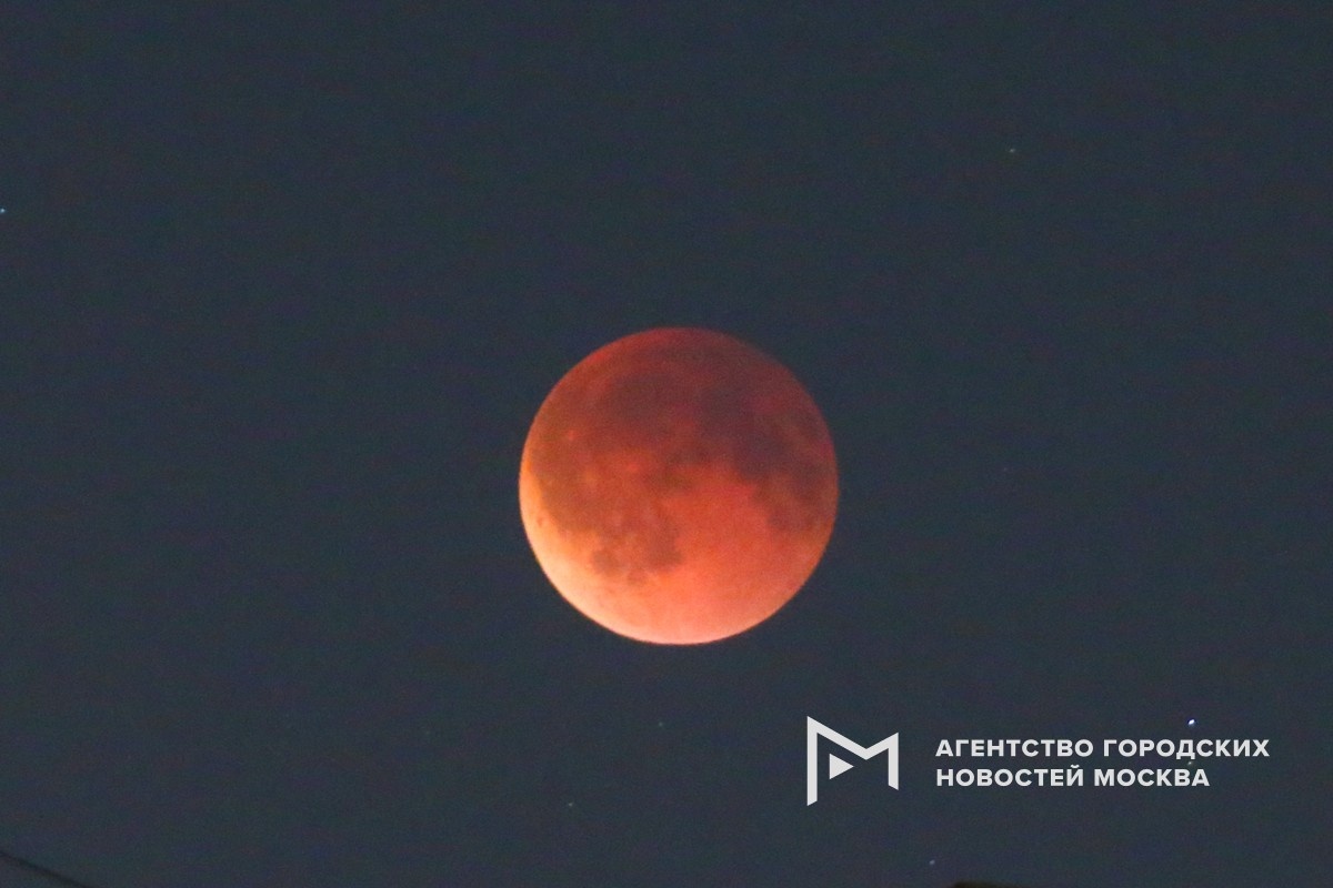 Фотограф: Сергей Ведяшкин