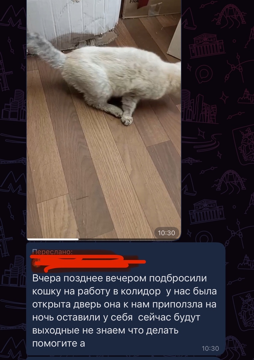 Ярко выраженная Атаксия! Встать НЕ МОЖЕТ!