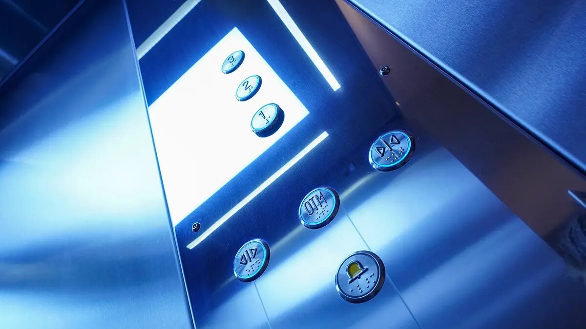    Фото: vm.ru Лидия Измайлова