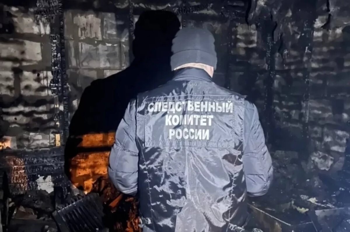    Тело 2-летнего малыша нашли на месте пожара в Левобережном районе Воронежа