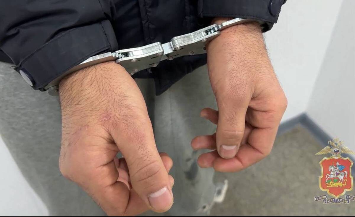    Фото: скриншот видео / пресс-служба ГУ МВД России по Московской области