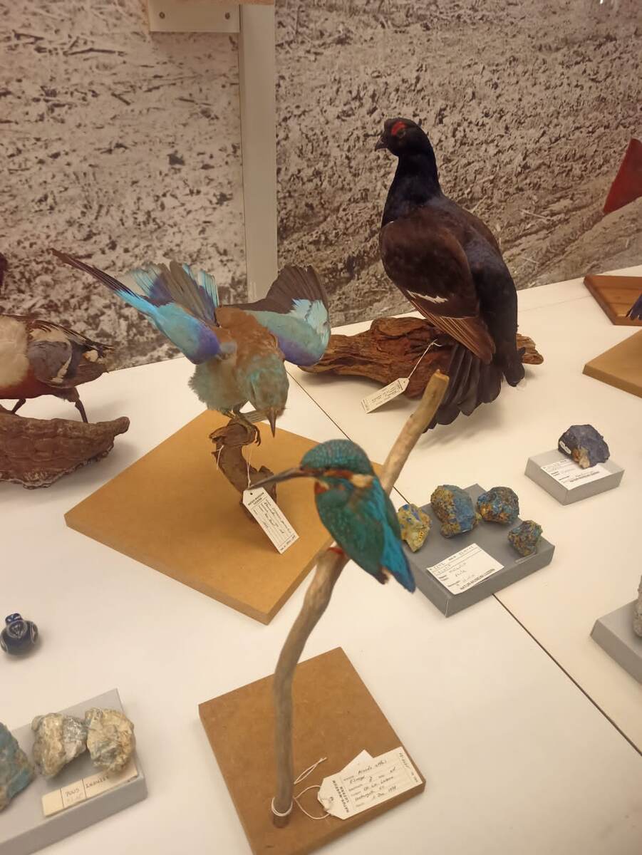 Люцерна. Листайте 