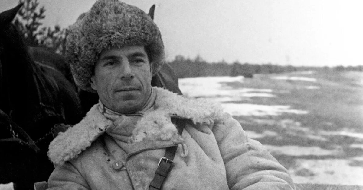 Дми́трий Никола́евич Медве́дев (10 [22] августа 1898, Бежица, Орловская губерния — 14 декабря 1954, Москва) — командир партизанского отряда, кадровый сотрудник НКВД СССР, полковник, писатель. Герой Советского Союза (1944).