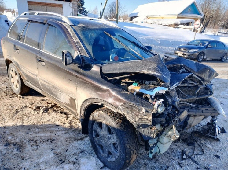     Фото пресс-службы УМВД России по Архангельской области