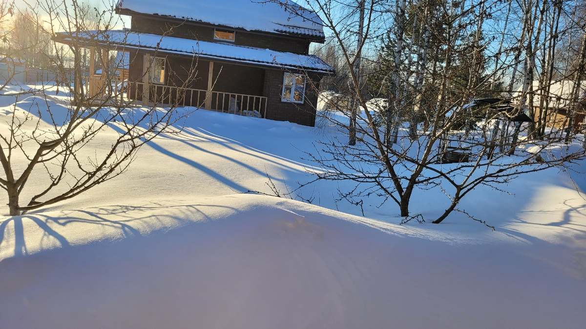 Дачное утро.