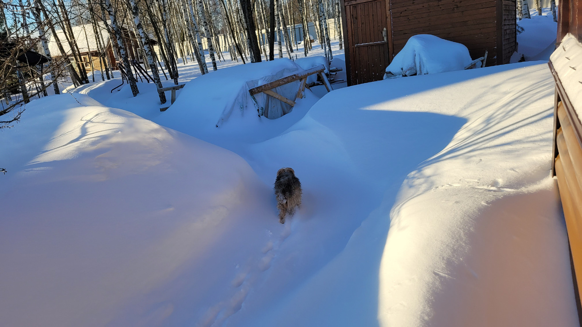 Пошёл ненадолго.