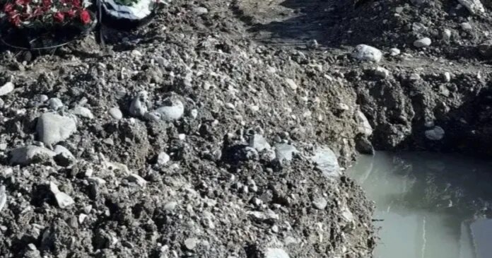    Фото: https://sochi1.ru/автор Роман Трифонов