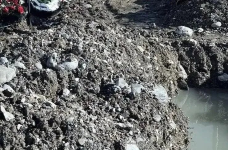    Фото: https://sochi1.ru/автор Роман Трифонов