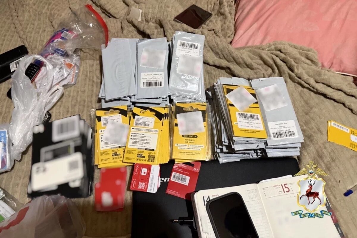    Ещё одну подпольную сим-ферму накрыли в Нижнем Новгороде