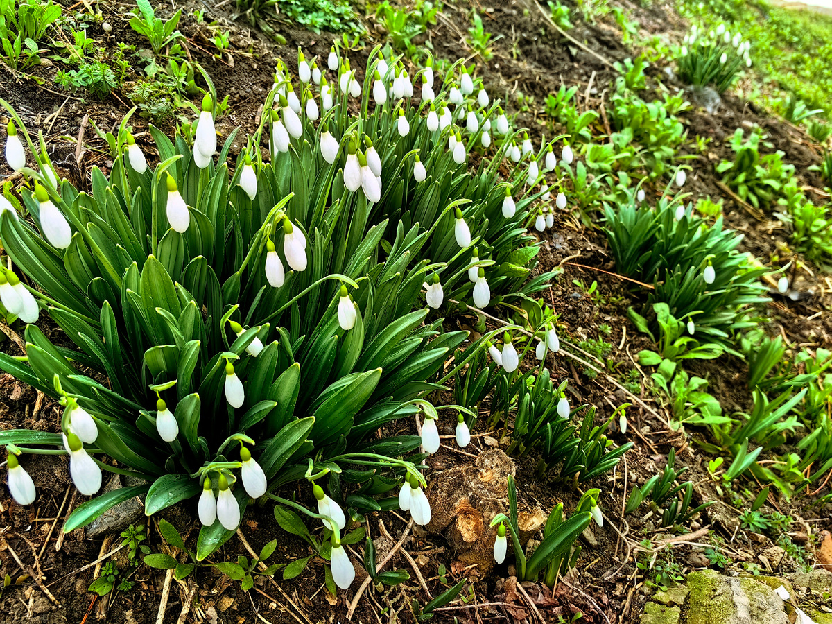 Сегодня. Фото автора канала