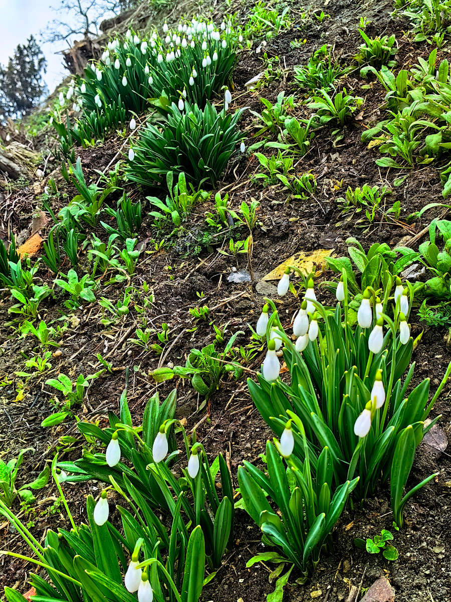 Сегодня. Фото автора канала