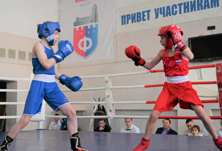 фото: Администрация Выборгского муниципального района