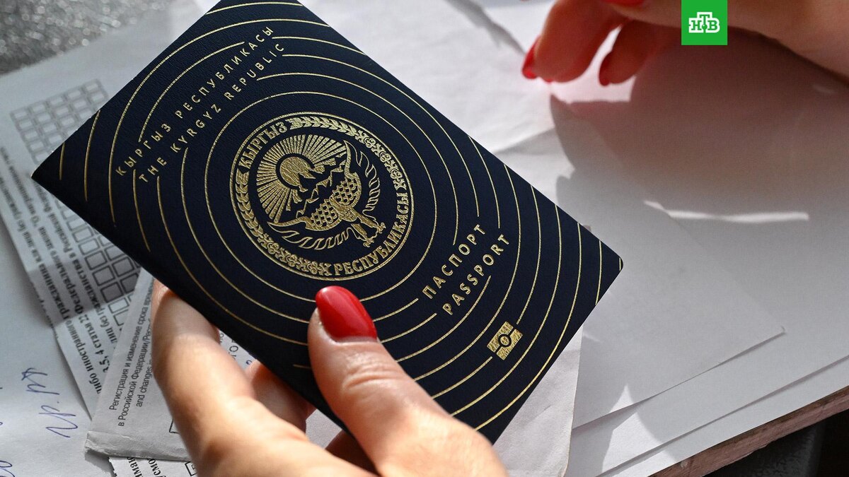    Фото: РИА Новости © 2026, Илья Наймушин