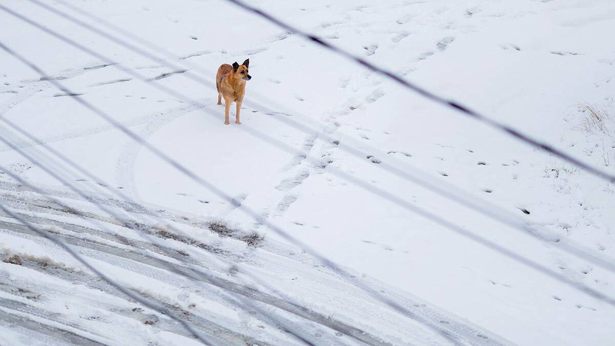    Фото: Василий Кузьмиченок / АГН Москва