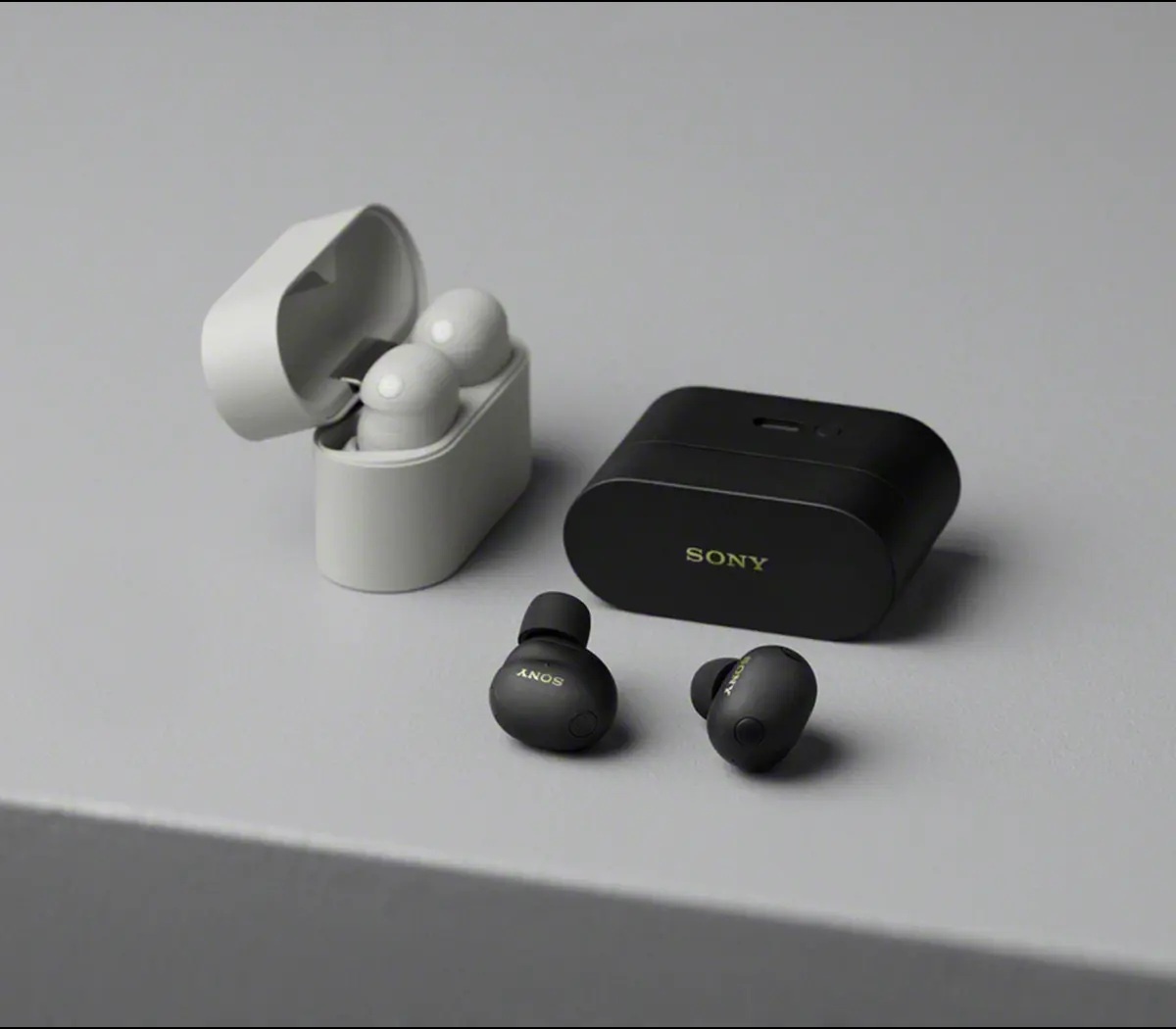 Два варианта расцветки