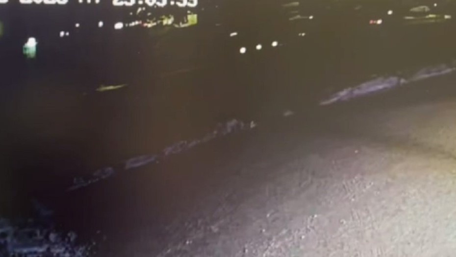 Автор фото: Госавтоинспекция по Петербургу и Ленобласти